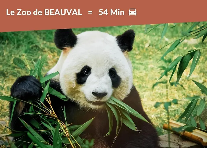 #3 Terracotta - Hypercentre - Proche De Tous Commerces Lejlighed *