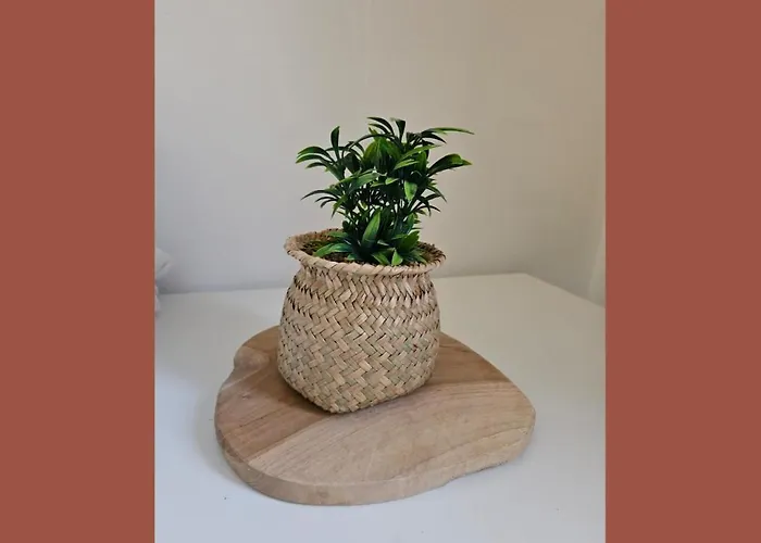 #3 Terracotta - Hypercentre - Proche De Tous Commerces Lejlighed